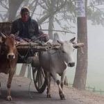 আবারও দেশের সর্বনিম্ন তাপমাত্রা তেঁতুলিয়ায় (২০২২)